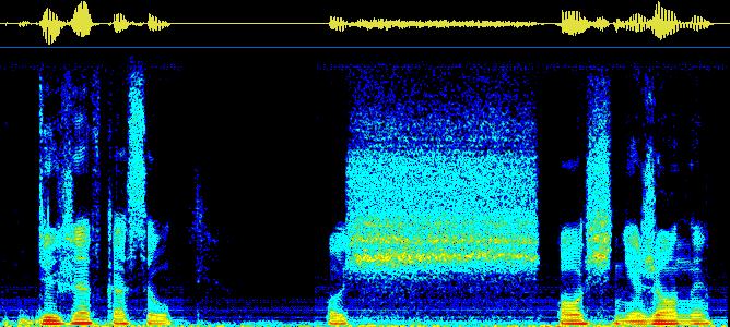 (read out from the sample spectrogram). If the both were compliant it was considered as a successful recognition, otherwise as a failure.