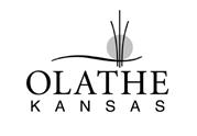 City of Olathe City Planning Division STAFF REPORT Planning Commission Meeting: April, 206 Application: SU-6-00: Request approval for the renewal of an existing Special Use permit for an amusement