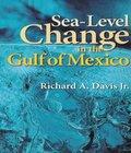 Sea Level Change Research Institute Studies sea level change research institute studies author by Richard A. Davis Jr.