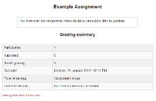 How to grade an assignment? 1. Click on the assignment name. 2. You will see a summary of number of students, number of submitted assignments, the due date, time remaining, and late submission. 3.