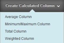 Create a Calculated Column.