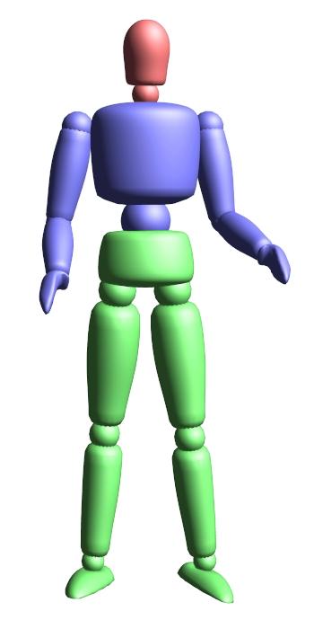 CHAPTER 2. MOTION CAPTURE PROCESSING 11 (a) The body parts which constitute each of the three body sections are highlighted in different colors.