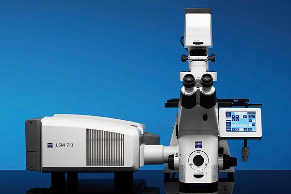 Major Equipment (cont ) A fully motorized inverted microscope (Axio Observer Z1) Objectives include a 10X, 20X, 40X, 63 X (oil) and 100X(oil) Seven laser lines: 405, 458, 488, 514, 561, 594 and 633