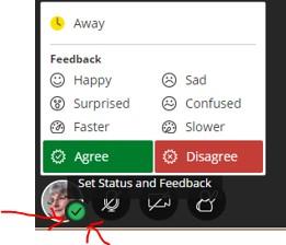 You may want to instruct student to click the Green check to indicate when Students need to set their status to Away. That way you will know they are temporarily not engaged in the session.