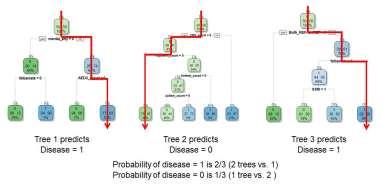 aggregates thousands of decision trees to identify the most important predictors of an outcome and