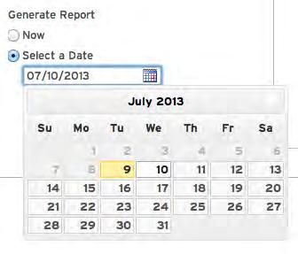 Click the calendar icon to select the date to schedule the report. When the parameters are set, click Run Report to either run or schedule the report.