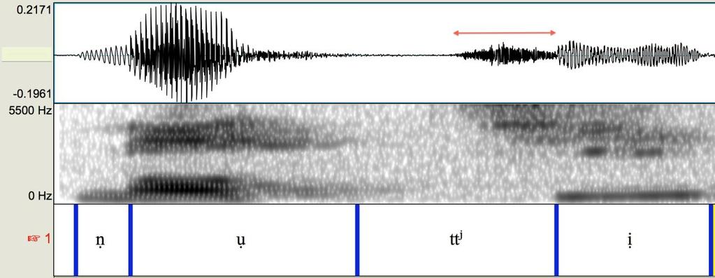 (1) Spectrogram and waveform of the word /nutˤtˤi/ jump! F.SG.