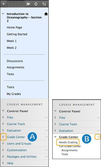 CONTROL PANEL When you view your course as an instructor, the interface looks similar to what we have shown from the student view.