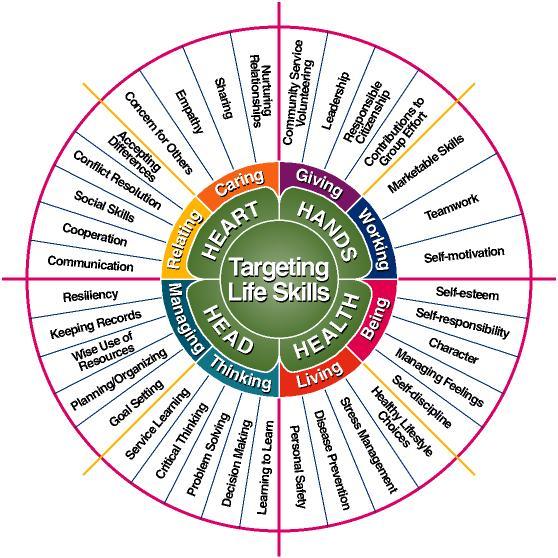 Life Skills Wheel: The diagram below shows many of the