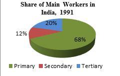 tertiary sector dominated the work force. This trend continued in 2001 as well.