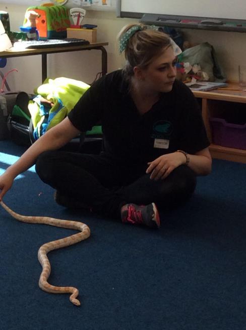 The children were fascinated to learn about these amazing mini beasts and