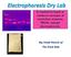 A method to teach or reinforce concepts of restriction enzymes, RFLPs, and gel electrophoresis. By: Heidi Hisrich of The Dork Side