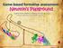 Game-based formative assessment: Newton s Playground. Valerie Shute, Matthew Ventura, & Yoon Jeon Kim (Florida State University), NCME, April 30, 2013